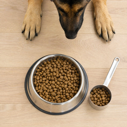 A measured serve of Black Hawk kibble in a stainless steel bowl, one 125g scoop beside it