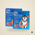 NexGard Spectra for dogs 30.1–60kg, 12 pack (two boxes of six chews)