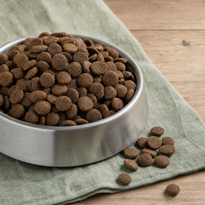 Black Hawk Lamb & Rice kibble in a stainless steel bowl