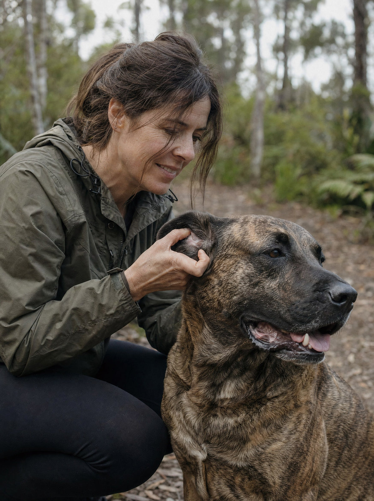 Woman checking behind her dog's ear on a bush track